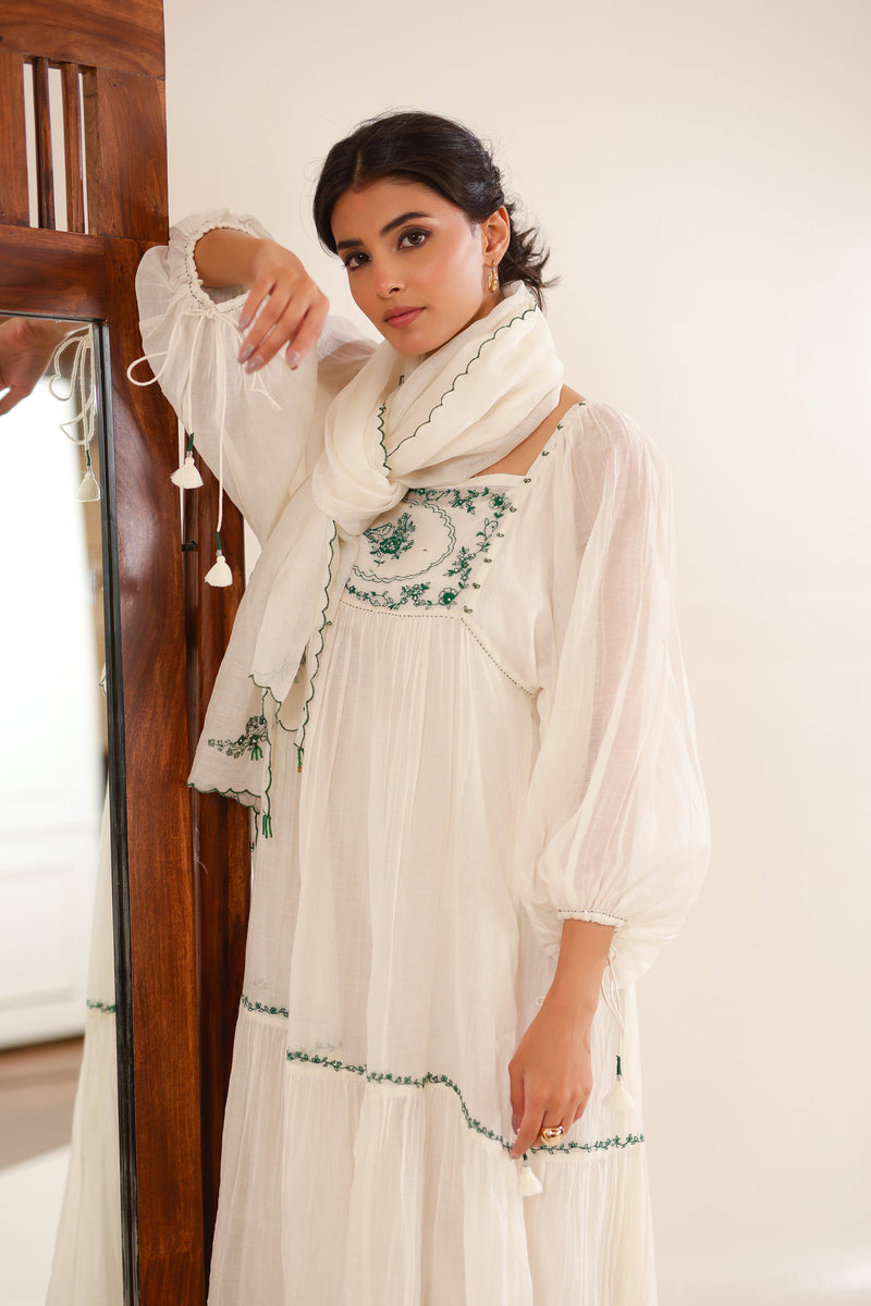 Art sleeve victorian dress