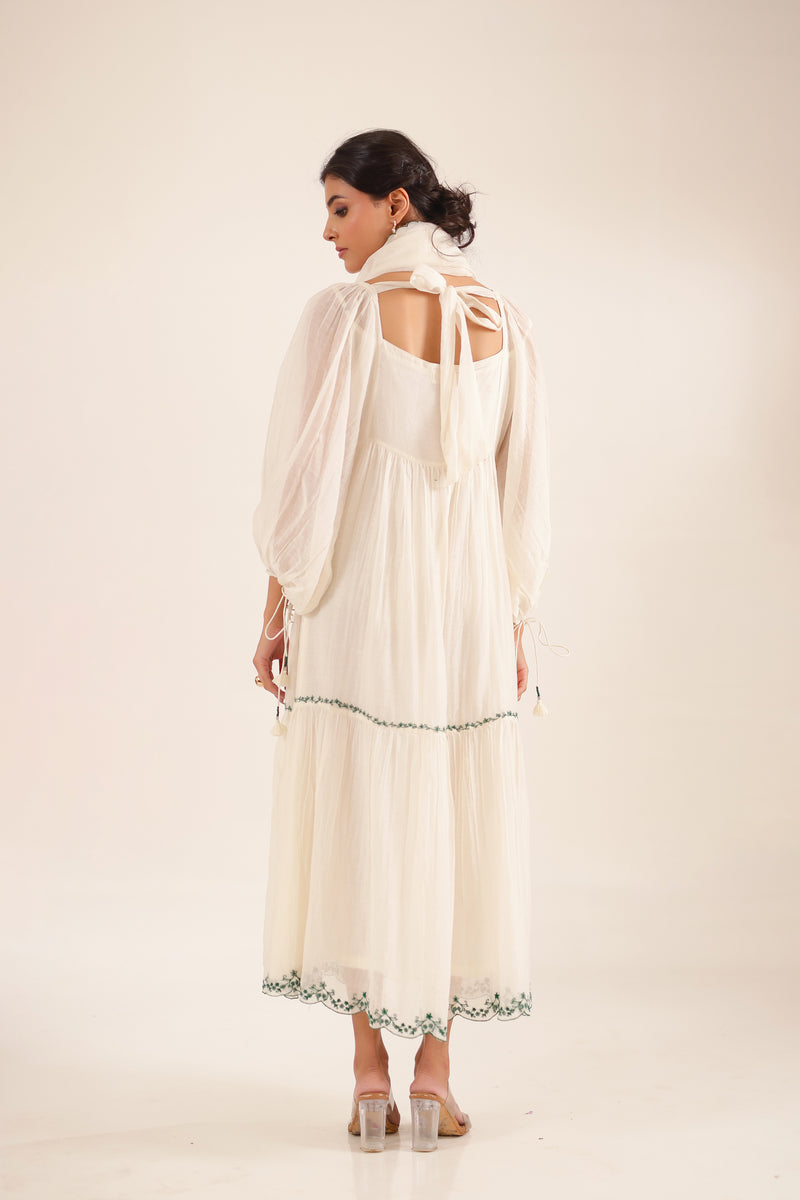 Art sleeve victorian dress