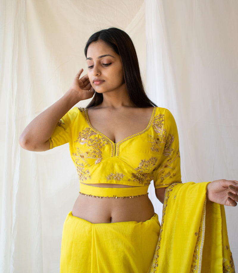 Neon Yellow Heritage Saree