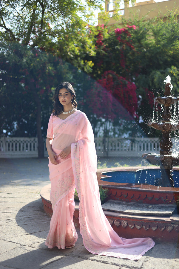 Blush Pink Miniature Organza SILK saree