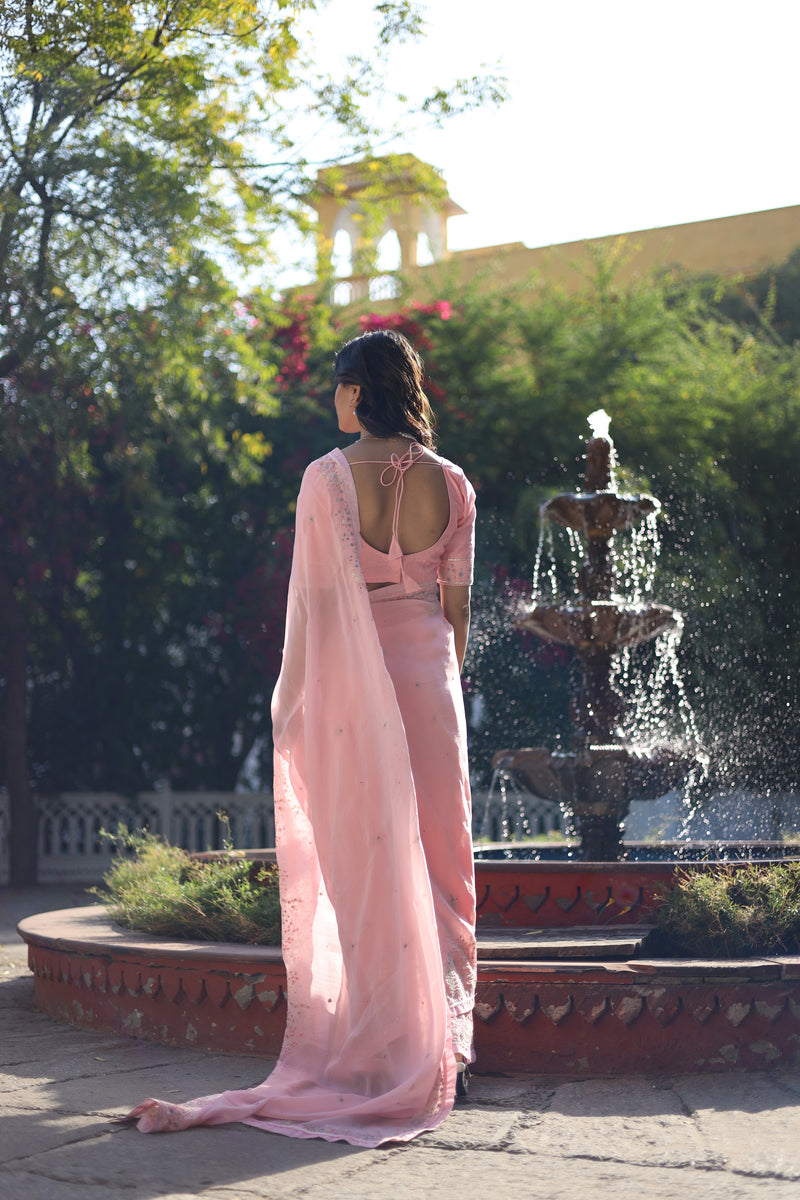 Blush Pink Miniature Organza SILK saree