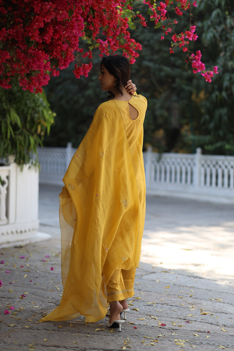 Mustard half Lily yoke Suit set