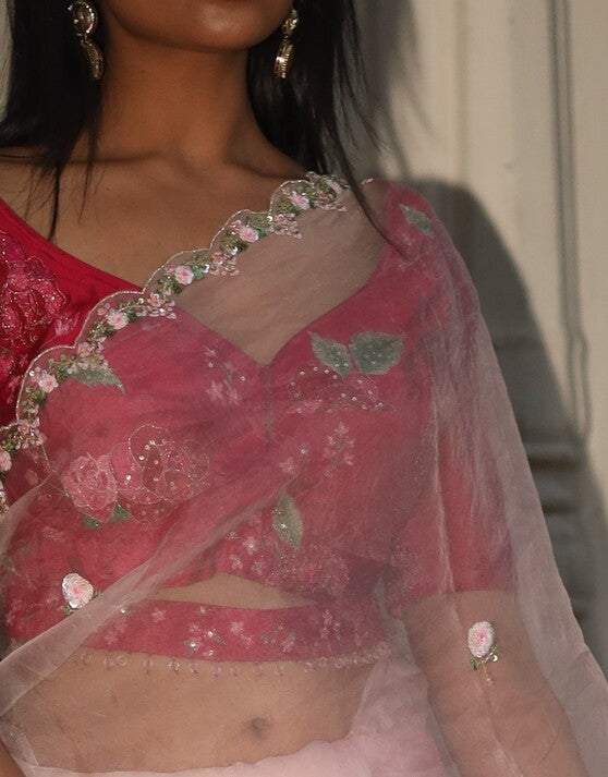 Romantic Pink border organza SILK saree